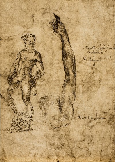 Étude pour la statue de David - Michelangelo Buonarroti